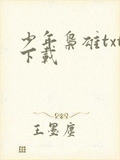 少年枭雄txt下载