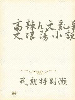 高辣h文乱乳h文浪荡小说苏瑾瑶