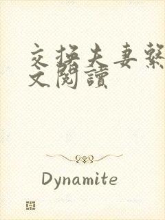 交换夫妻系列全文阅读