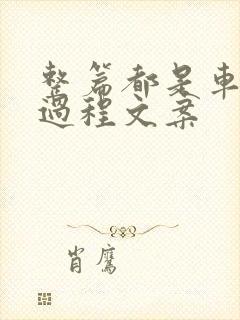 整篇都是车的肉过程文案