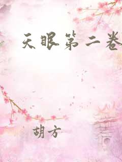 天眼第二卷
