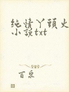 纯情丫头火辣辣小说txt