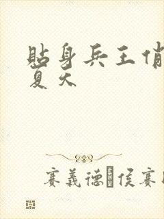 贴身兵王俏总裁夏天