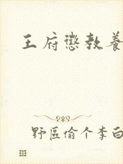 王府惩教养日常