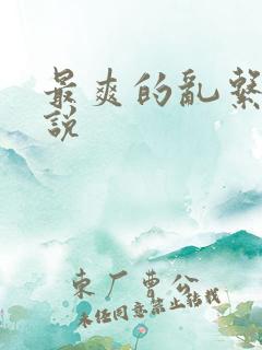 最爽的乱系列小说