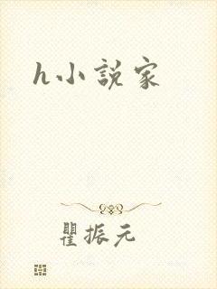 h小说家