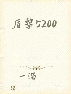 盾击5200