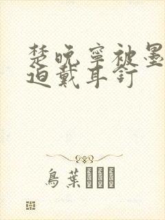 楚晚宁被墨燃强迫戴耳钉