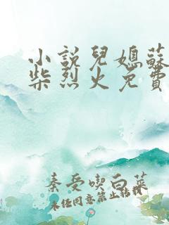 小说儿媳苏玥干柴烈火免费阅读