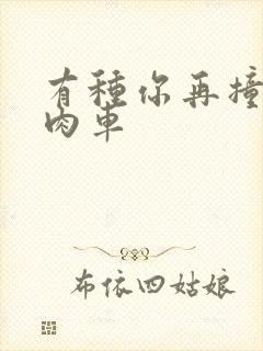 有种你再撞一下肉车