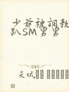 少爷被调教室跪趴SM男男