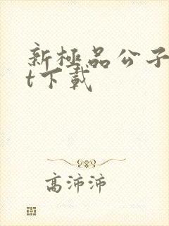 新极品公子txt下载