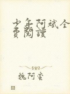 少年阿斌全文免费阅读