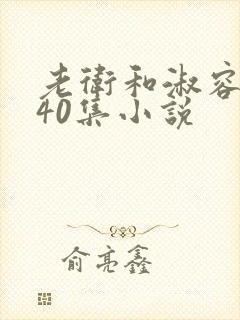 老卫和淑容1-40集小说