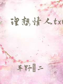 理想情人txt