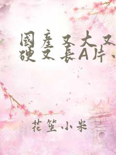 国产又大又粗又硬又长A片小说