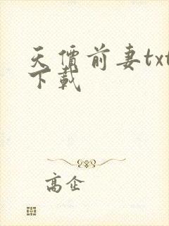 天价前妻txt下载