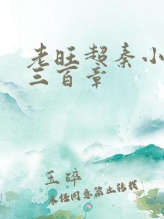 老旺超秦小雨第三百章