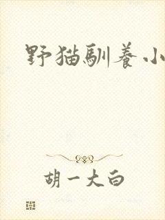 野猫驯养小说