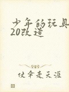 少年的玩具1一20改造