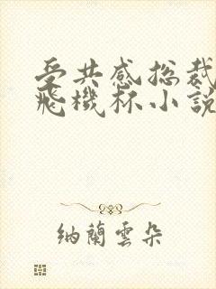 受共感总裁攻的飞机杯小说叫什么