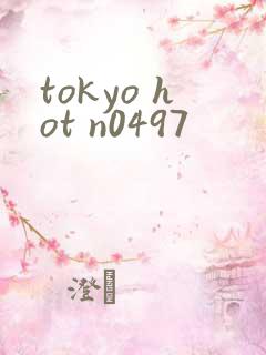 tokyo hot n0497