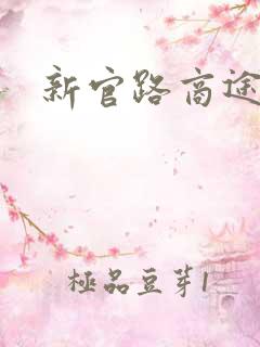 新官路商途