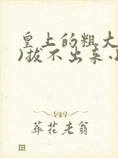 皇上的粗大(h)拔不出来小说