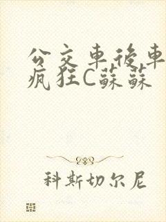 公交车后车座的疯狂C苏苏