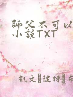 师父不可以灵犀小说TXT