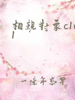 相亲对象c1v1
