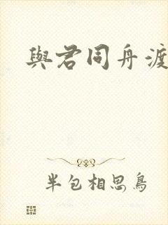 与君同舟渡小说