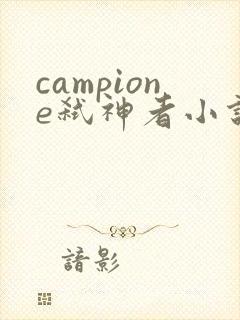 campione弑神者小说