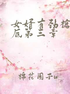 女婿有劲枪枪到底第三章