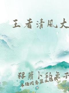 王者清风大结局