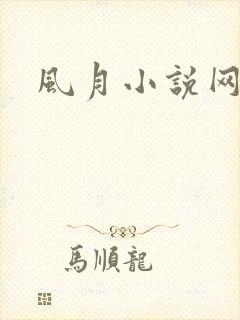 风月小说网