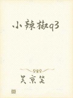 小辣椒q3