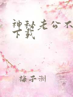 神秘老公不见面下载