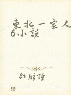 东北一家人1一6小说