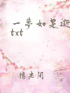 一梦如是逝水长txt
