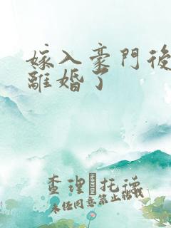 嫁入豪门后我又离婚了