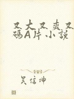 又大又爽又黄无码A片小说