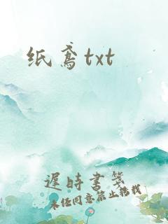 纸鸢txt
