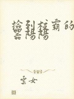 捡到校霸的遥控器阳阳