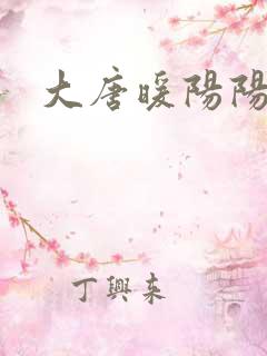 大唐暖阳阳