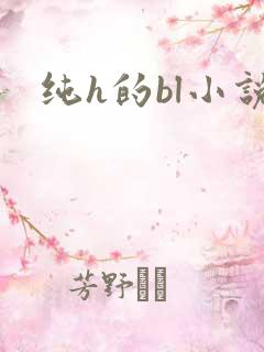 纯h的bl小说