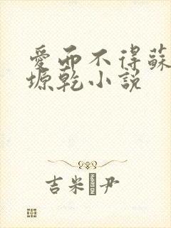 爱而不得苏路顾塬乾小说