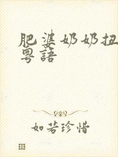 肥婆奶奶扭计媳粤语