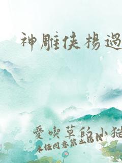 神雕侠杨过后传