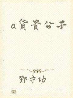 a货贵公子